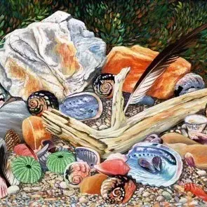 Don Bell — Tidal Shells