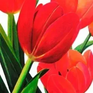 David Kantey — Tulips From