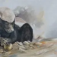 Vanessa Lomas — Honey Badger