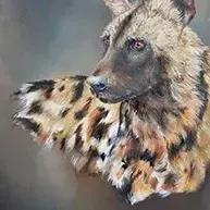 Vanessa Lomas — Painted Dog