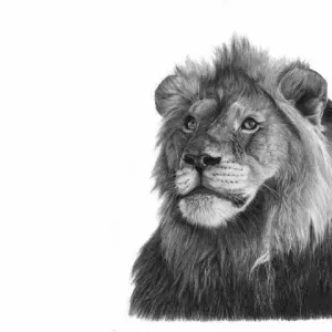 Vincent Reid — Majesty